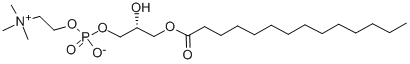 1-MYRISTOYL-SN-GLYCERO-3-PHOSPHOCHOLINE