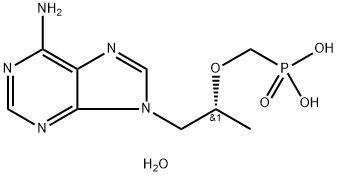 9-[(R)-2-(Phosphonomethoxy)propyl]adenine monohydrate|9-[(R)-2-(磷酰甲氧基)丙基]腺嘌呤(一水物)