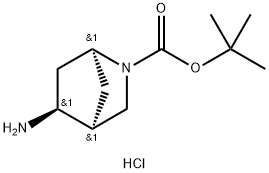 (1R,4R,5R)-REL-5-氨基-2-氮杂双环[2.2.1]庚烷-2-羧酸叔丁酯盐酸盐,207405-66-1,结构式