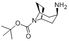 N-Boc-endo-3-aminotropane price.