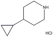 盐酸4-环丙基哌啶 结构式
