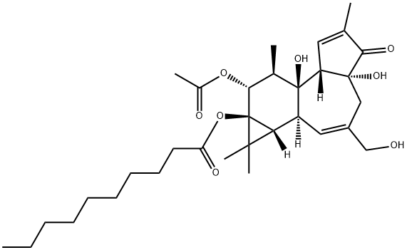 12-O-acetylphorbol-13-decanoate Struktur