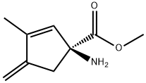 2-Cyclopentene-1-carboxylicacid,1-amino-3-methyl-4-methylene-,methylester,(1S)-(9CI) 结构式