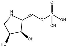 3,4-피롤리딘디올,2-[(포스포노옥시)메틸]-,(2R,3R,4S)-(9CI)