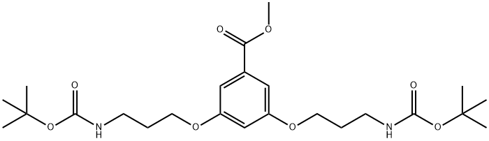 3,5-BIS[3-(TERT-BUTYLOXYCARBONYLAMINO)PROPYLOXY]BENZOIC ACID,98% Struktur