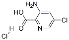 3-AMino-5-chloropyridine-2-carboxylic acid hydrochloride 结构式