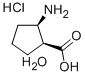CIS-2-アミノ-1-シクロペンタンカルボン酸塩酸塩 化学構造式