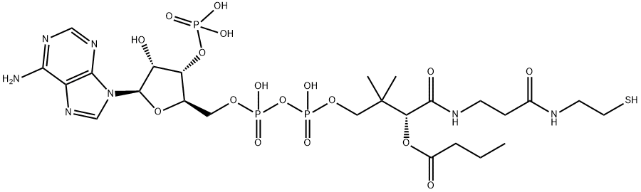 [5-(6-aminopurin-9-yl)-2-[[[[3-[2-(2-butanoylsulfanylethylcarbamoyl)ethylcarbamoyl]-3-hydroxy-2,2-dimethyl-propoxy]-hydroxy-phosphoryl]oxy-hydroxy-phosphoryl]oxymethyl]-4-hydroxy-oxolan-3-yl]oxyphosphonic acid,2140-48-9,结构式