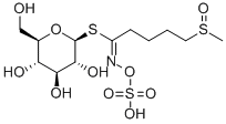 21414-41-5 1-チオ-β-D-グルコピラノース1-[N-(ヒドロキシスルホニルオキシ)-5-(メチルスルフィニル)ペンタンイミダート]