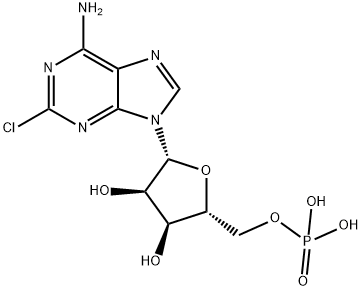 2-Chloro-AMP