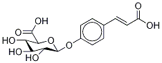 4-(2-카르복시에테닐)페닐β-D-글루코피라노시두론산