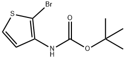 tert-butyl (2-broMothiophen-3-yl)carbaMate|(2-溴噻吩-3-基)氨基甲酸叔丁酯