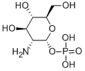 ALPHA-D-GLUCOSAMINE 1-PHOSPHATE|D-氨基葡萄糖-1-磷酸