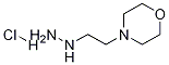 1-(2-Morpholinoethyl)hydrazine hydrochloride Structure