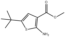 2-氨基-5-叔丁基噻吩-3-甲酸甲酯,216574-71-9,结构式