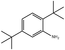 2,5-二叔丁基苯胺, 21860-03-7, 结构式