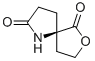 7-Oxa-1-azaspiro[4.4]nonane-2,6-dione,(5R)-(9CI) 化学構造式