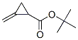 Cyclopropanecarboxylic acid, methylene-, 1,1-dimethylethyl ester (9CI),219788-08-6,结构式