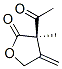 2(3H)-Furanone, 3-acetyldihydro-3-methyl-4-methylene-, (3R)- (9CI) 化学構造式