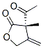 2(3H)-Furanone, 3-acetyldihydro-3-methyl-4-methylene-, (3S)- (9CI) 结构式