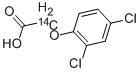2,4-DICHLOROPHENOXY ACETIC ACID, [METHYLENE-14C] 化学構造式