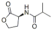 Propanamide,  2-methyl-N-[(3S)-tetrahydro-2-oxo-3-furanyl]- Structure