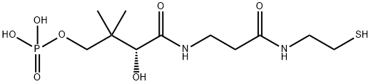 [3-hydroxy-2,2-dimethyl-3-[2-(2-sulfanylethylcarbamoyl)ethylcarbamoyl]propoxy]phosphonic acid 化学構造式