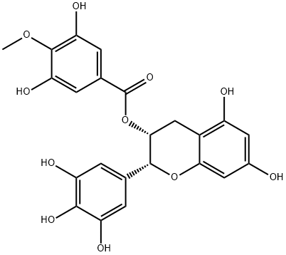 (-)-エピガロカテキン 3-(4”-O-メチル)ガレート 化学構造式