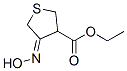 3-Thiophenecarboxylicacid,tetrahydro-4-(hydroxyimino)-,ethylester(9CI) Structure