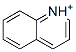 Quinolinium|