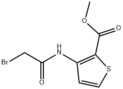 METHYL 3-[(2-BROMOACETYL)AMINO]THIOPHENE-2-CARBOXYLATE Struktur