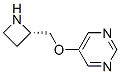 Pyrimidine, 5-[(2S)-2-azetidinylmethoxy]- (9CI) Structure