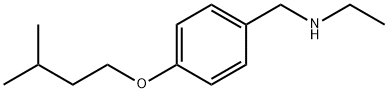 N-[4-(Isopentyloxy)benzyl]-1-ethanamine Structure