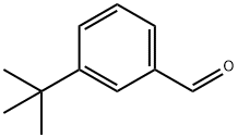 3-叔丁基苯甲醛,23039-28-3,结构式
