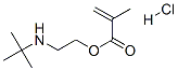 2-[(1,1-디메틸에틸)아미노]에틸메타크릴레이트염산염