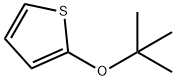 2-t-Butoxythiophene Struktur