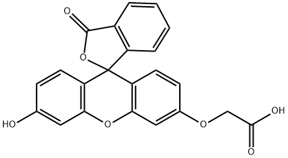 FLUORESCEIN-O'-ACETIC ACID* 化学構造式