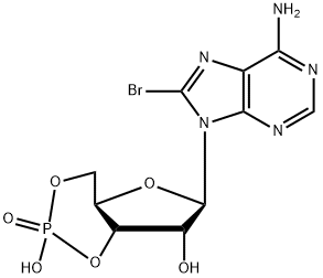 8-BROMOADENOSINE 3':5'-CYCLIC MONOPHOSPHATE