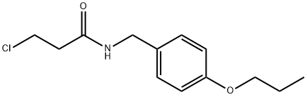 CHEMBRDG-BB 5238061 Structure