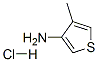 4-methylthiophen-3-amine hydrochloride, 24030-00-0, 结构式