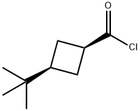 Cyclobutanecarbonyl chloride, 3-tert-butyl-, cis- (8CI),24165-52-4,结构式