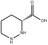 (2R)-哌嗪-2-甲酸,24182-11-4,结构式