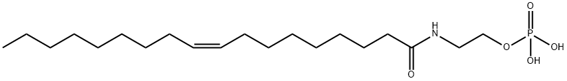 NAEPA Structure