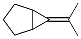 Bicyclo[3.1.0]hexane, 6-isopropylidene-,24524-58-1,结构式