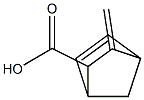 Bicyclo[2.2.1]hept-5-ene-2-carboxylic acid, 3-methylene-, endo- (9CI) Struktur