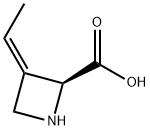 (2S,E)-3-エチリデン-2-アゼチジンカルボン酸 化学構造式