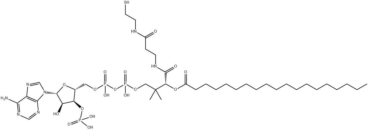 NONADECANOYL COENZYME A Structure