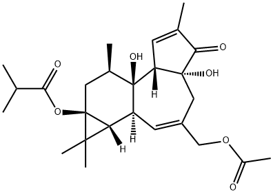 12-DEOXYPHORBOL 13-ISOBUTYRATE 20-ACETATE Structure