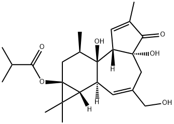 (1aR)-1,1aα,1bβ,4,4a,7aα,7b,8,9,9a-デカヒドロ-4aβ,7bα,9aα-トリヒドロキシ-3-(ヒドロキシメチル)-1,1,6,8α-テトラメチル-5H-シクロプロパ[3,4]ベンゾ[1,2-e]アズレン-5-オン9a-(2-メチルプロピオナート) 化学構造式