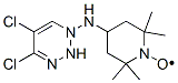 2,2,6,6-tetramethyl-4-(dichlorotriazin)aminopiperidine-1-oxyl 化学構造式